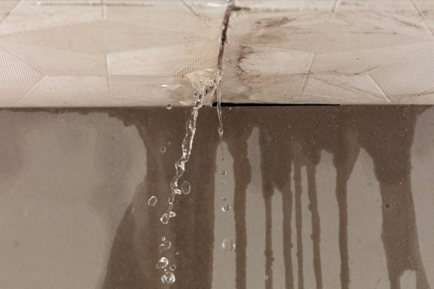Professional Burst Pipe Cleanup technician working in Elsah, IL